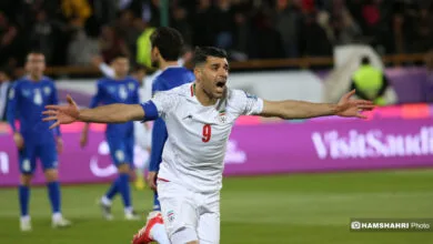 ارتباط فردا