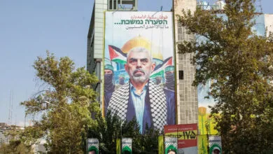 ارتباط فردا