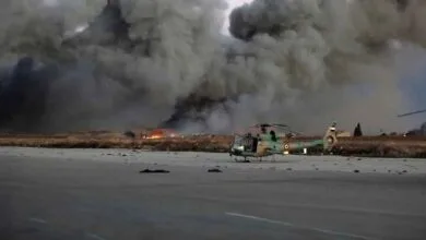 ارتباط فردا