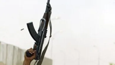 ارتباط فردا