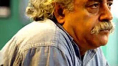 ارتباط فردا