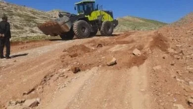 ارتباط فردا