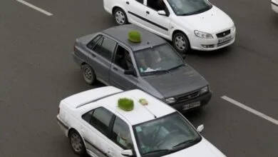 ارتباط فردا