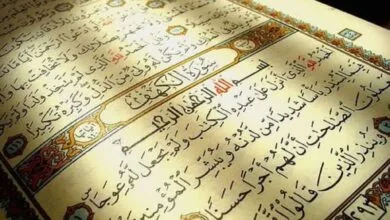 ارتباط فردا