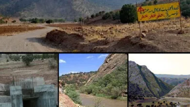 ارتباط فردا