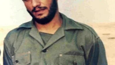 ارتباط فردا