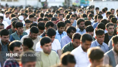 ارتباط فردا