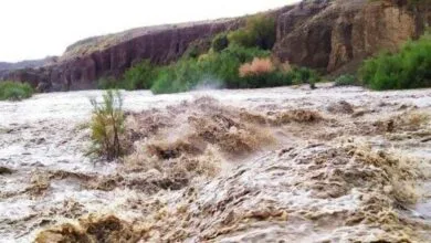 ارتباط فردا