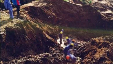 ارتباط فردا