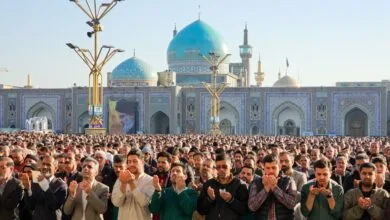 ارتباط فردا