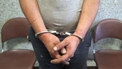 ارتباط فردا