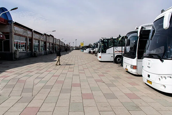 4425900.jpg