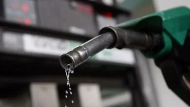 ارتباط فردا