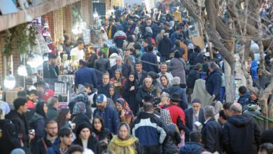 ارتباط فردا