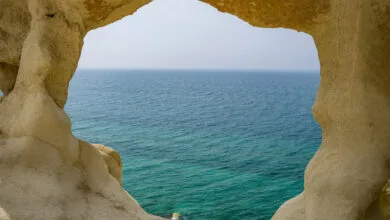 ارتباط فردا