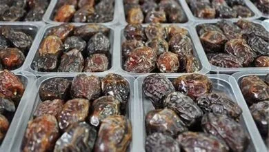ارتباط فردا