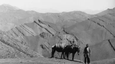 ارتباط فردا