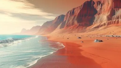 ارتباط فردا