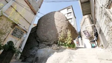 ارتباط فردا