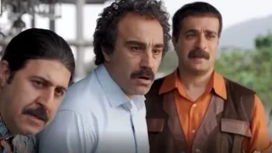 ارتباط فردا