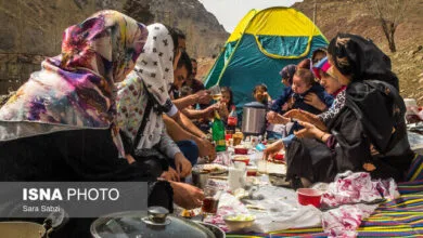 ارتباط فردا