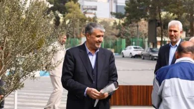 ارتباط فردا