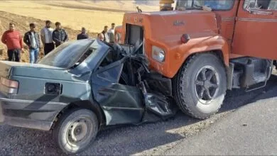 ارتباط فردا