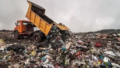 ارتباط فردا