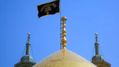 ارتباط فردا