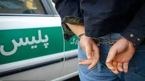 ارتباط فردا