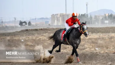 ارتباط فردا