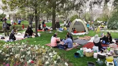 ارتباط فردا