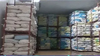 ارتباط فردا