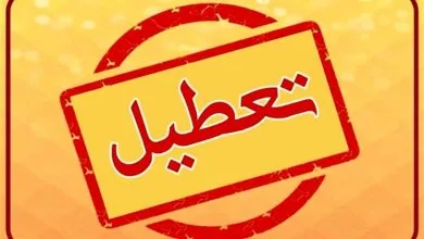 ارتباط فردا