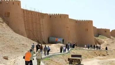 ارتباط فردا