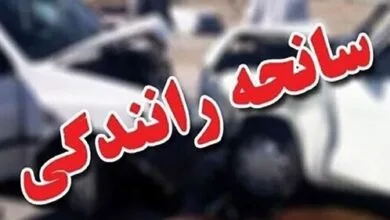 ارتباط فردا