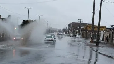 ارتباط فردا