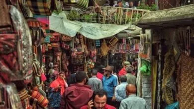 ارتباط فردا