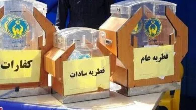 ارتباط فردا