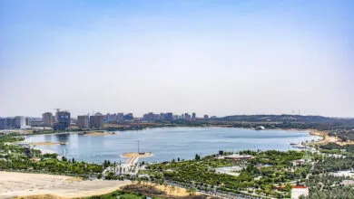 ارتباط فردا