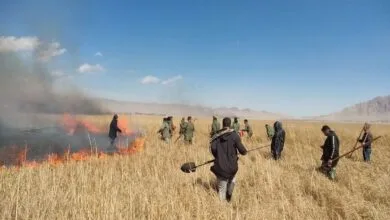 آتشسوزی نیزارهای حاشیه پارک ملی دریاچه ارومیه مهار شد آتشسوزی نیزارهای حاشیه پارک ملی دریاچه ارومیه مهار شد