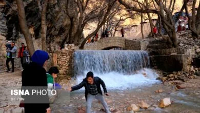 ارتباط فردا