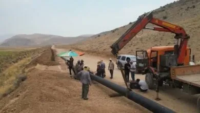 ارتباط فردا