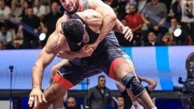ارتباط فردا