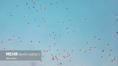 1743844433_5448596.jpg