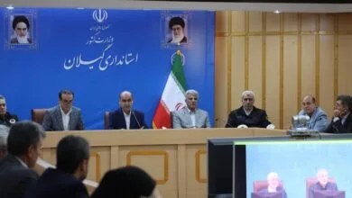 ارتباط فردا