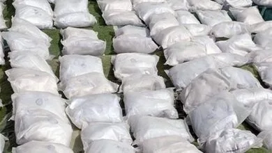 ارتباط فردا