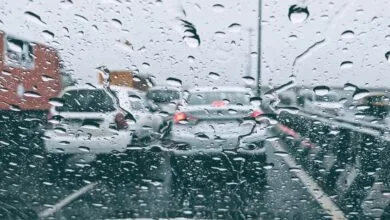 ارتباط فردا