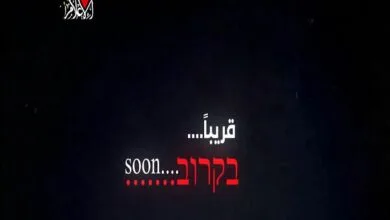 ارتباط فردا