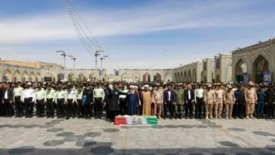 ارتباط فردا